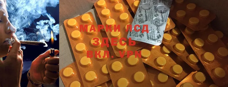 ЛСД экстази ecstasy  shop как зайти  OMG онион  Новодвинск  где продают наркотики 